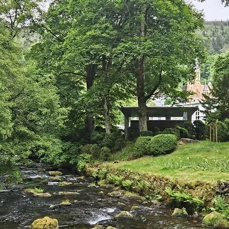 Wipfelblick