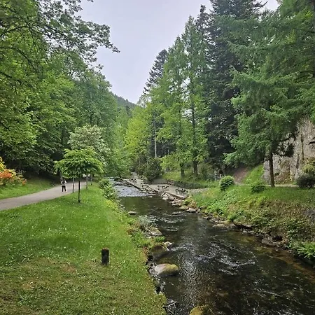 Apartment Wipfelblick Bad Wildbad
