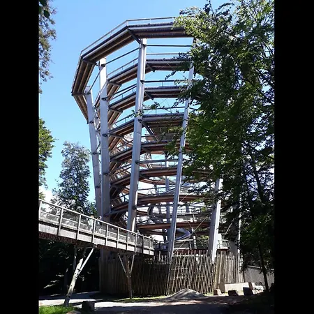 Wipfelblick Appartement Bad Wildbad