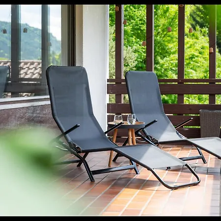 Wipfelblick Bad Wildbad