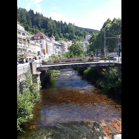 Wipfelblick