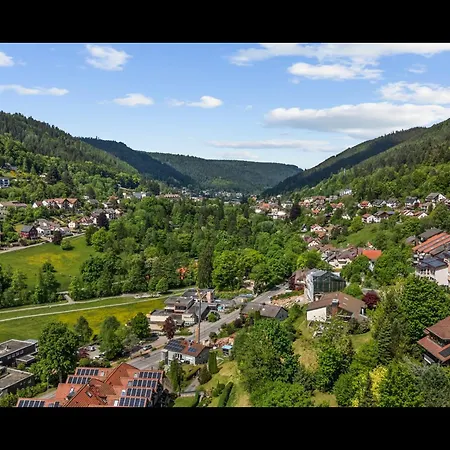 Wipfelblick Appartement Bad Wildbad