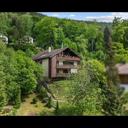 Wipfelblick *