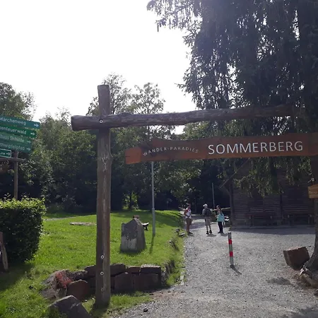 Wipfelblick * Bad Wildbad