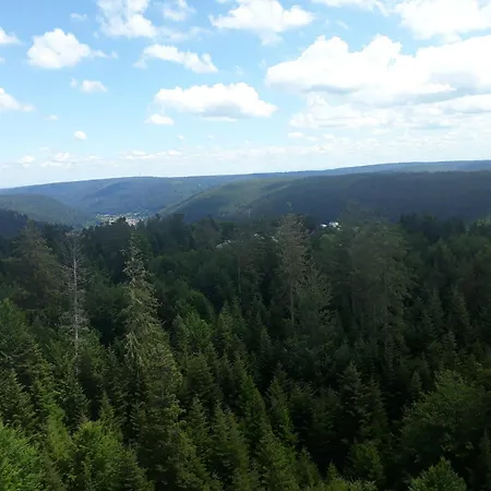 Wipfelblick Appartement