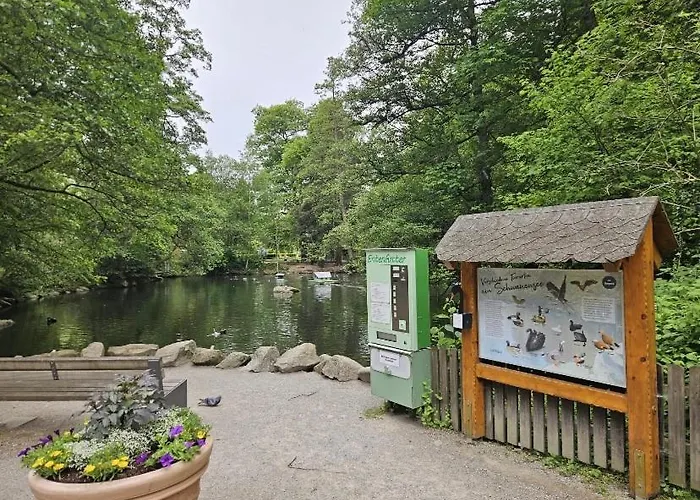 Wipfelblick * Bad Wildbad