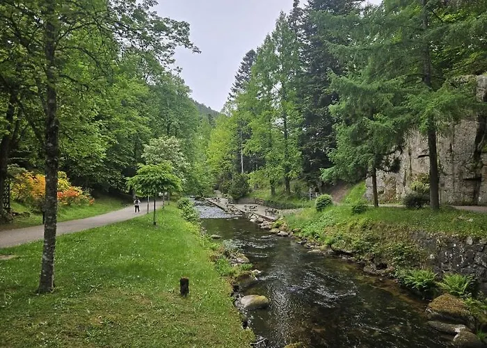 Appartement Wipfelblick Bad Wildbad