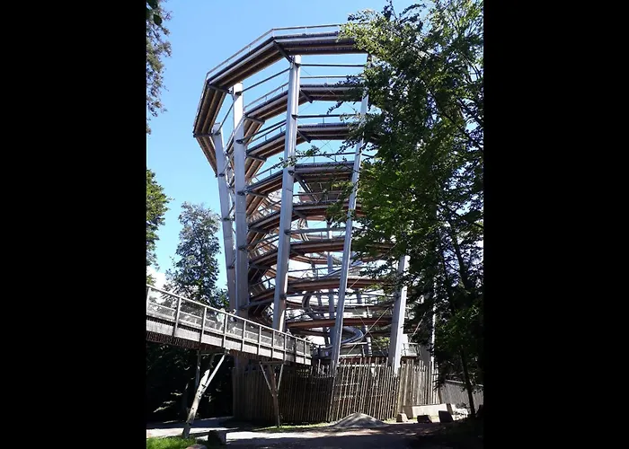 Wipfelblick Appartement Bad Wildbad