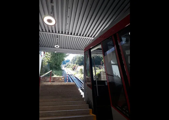 Wipfelblick Appartement Bad Wildbad