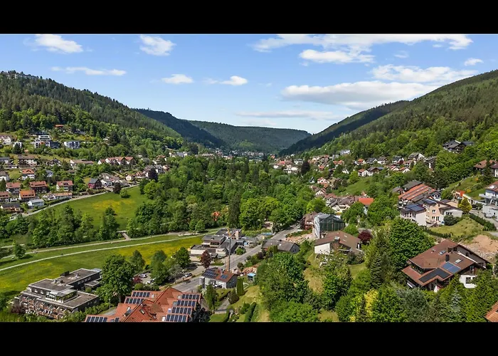 Wipfelblick Appartement Bad Wildbad