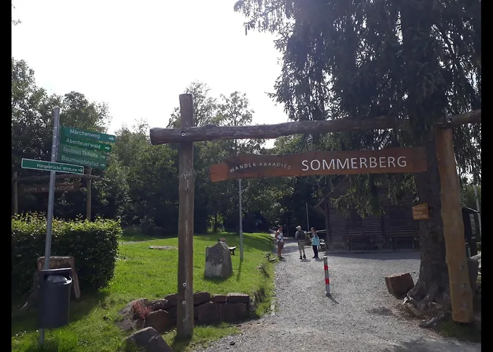 Wipfelblick * Bad Wildbad